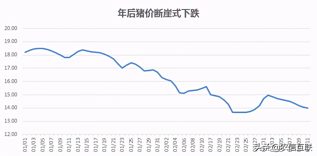 Pig price " cave in drops greatly " , steep fall 25% , be about to go to 10 yuan? Blame acute communicable diseases makes trouble, drop even