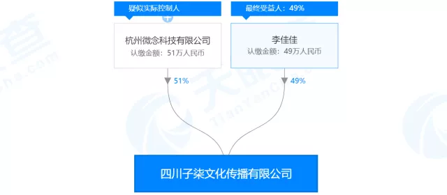 被央视点名的网红李子柒，真实年收入曝光：1.6亿元这个数字