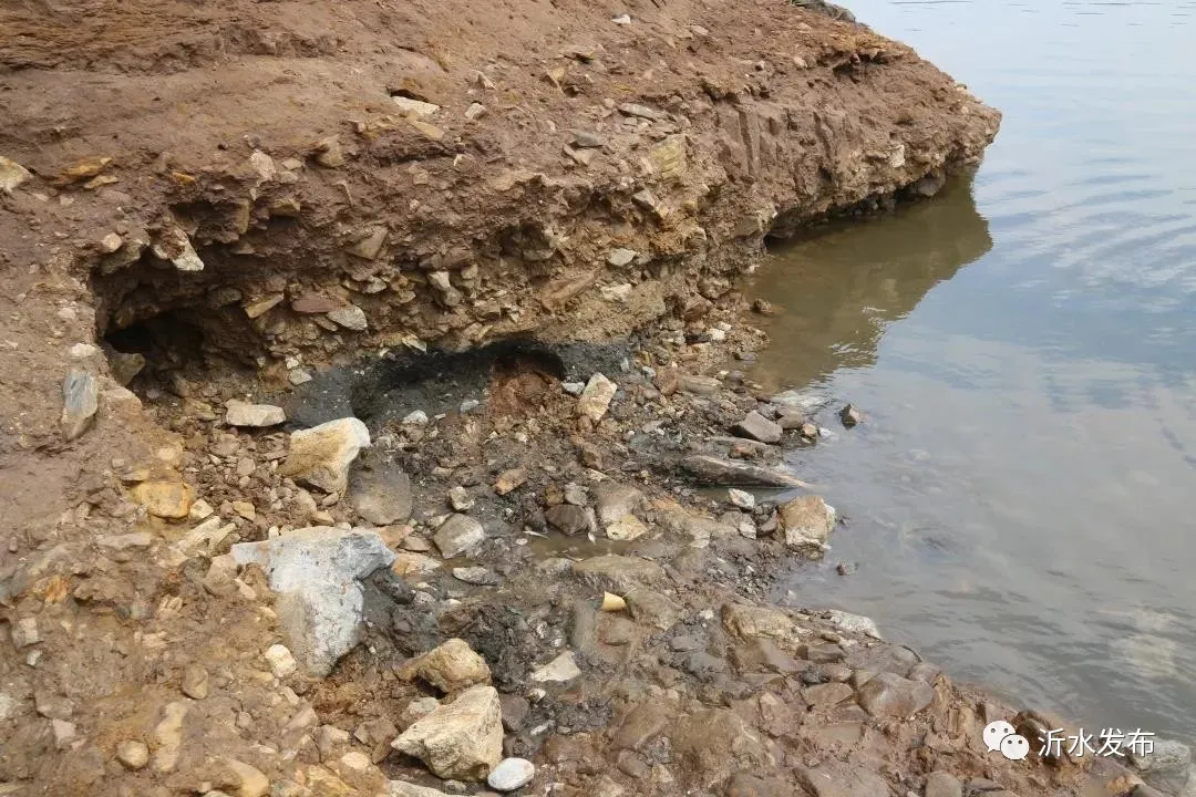 全国罕见！临沂跋山水库旧石器遗址最新消息