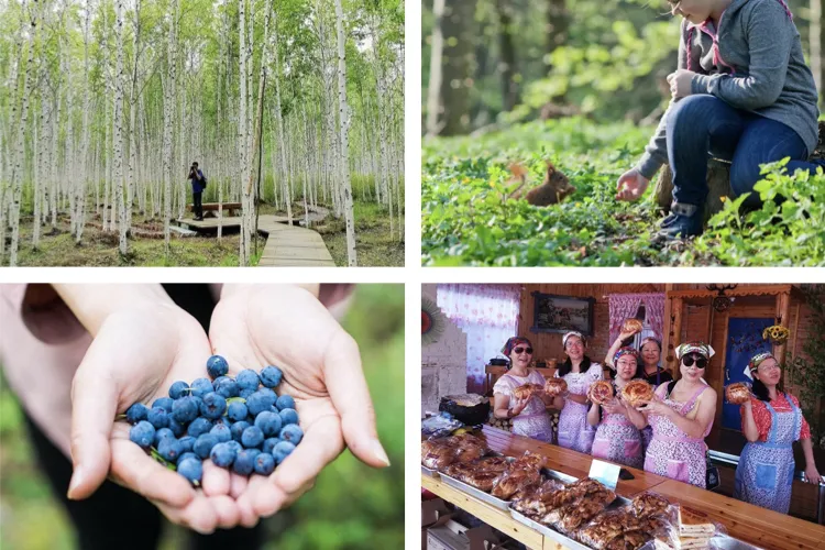 Repelling the scorching summer grassland paradise, Hulunbuir travels the most beautiful route, parent-child vacation praises