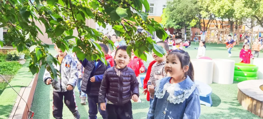 拥抱春天——四川天府新区华阳幼儿园小四班主题活动