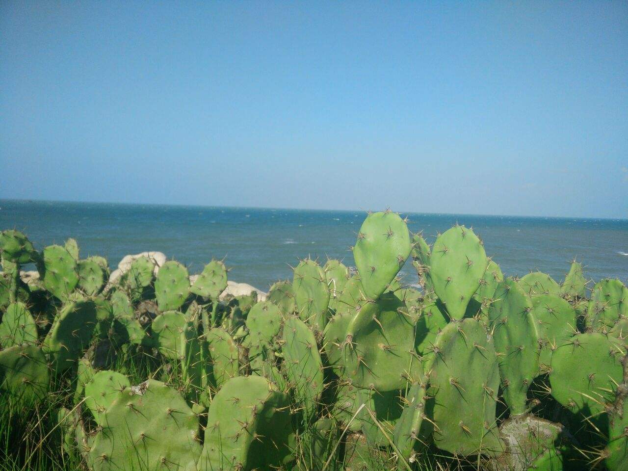 Unexpectedly, there is a "desert" in the southernmost part of mainland China (including Hainan Island)!
