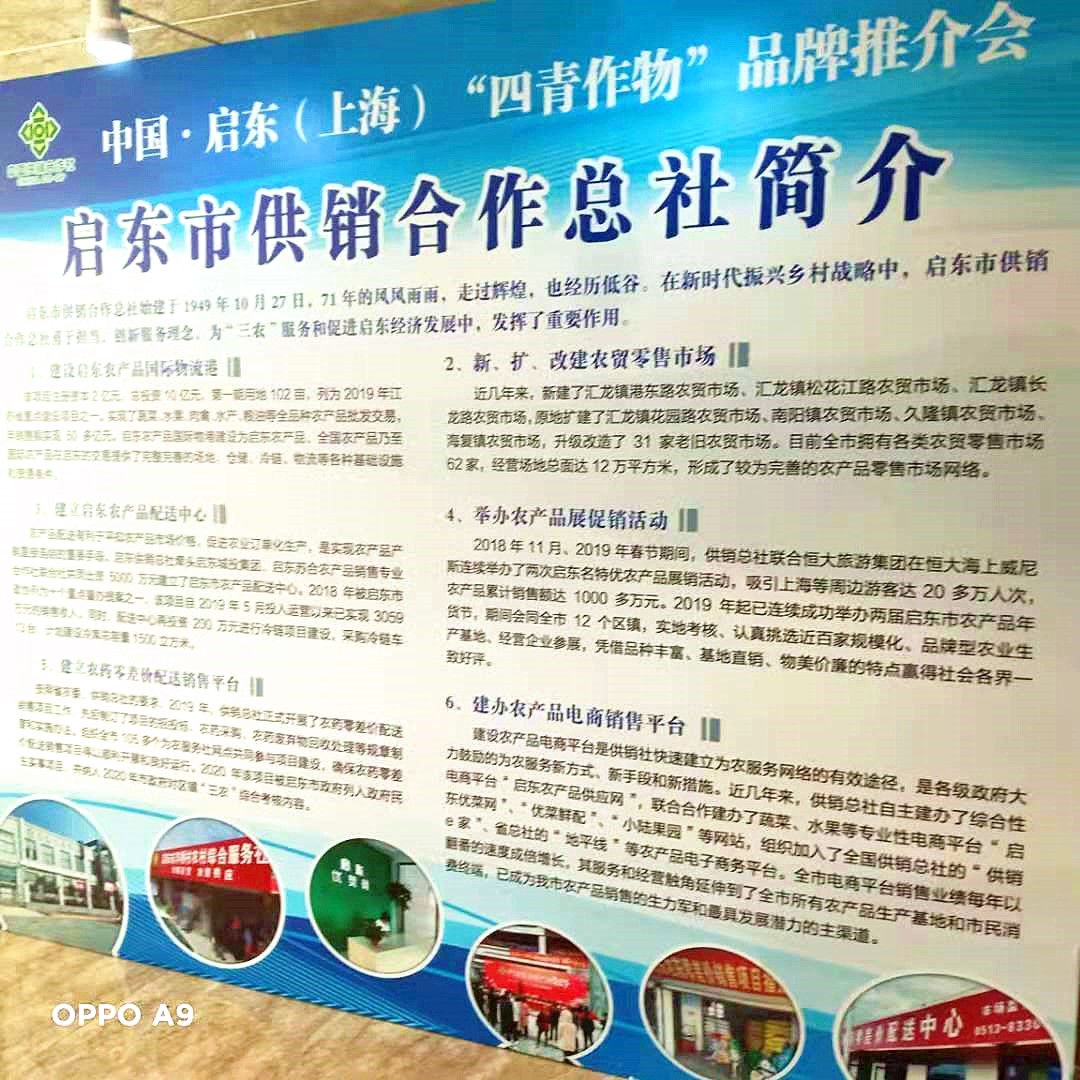 中國啟東（上海）“四青作物”品牌推介會成功舉行