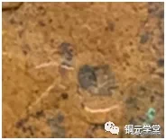 铜元品相难度与难点(浙江篇)