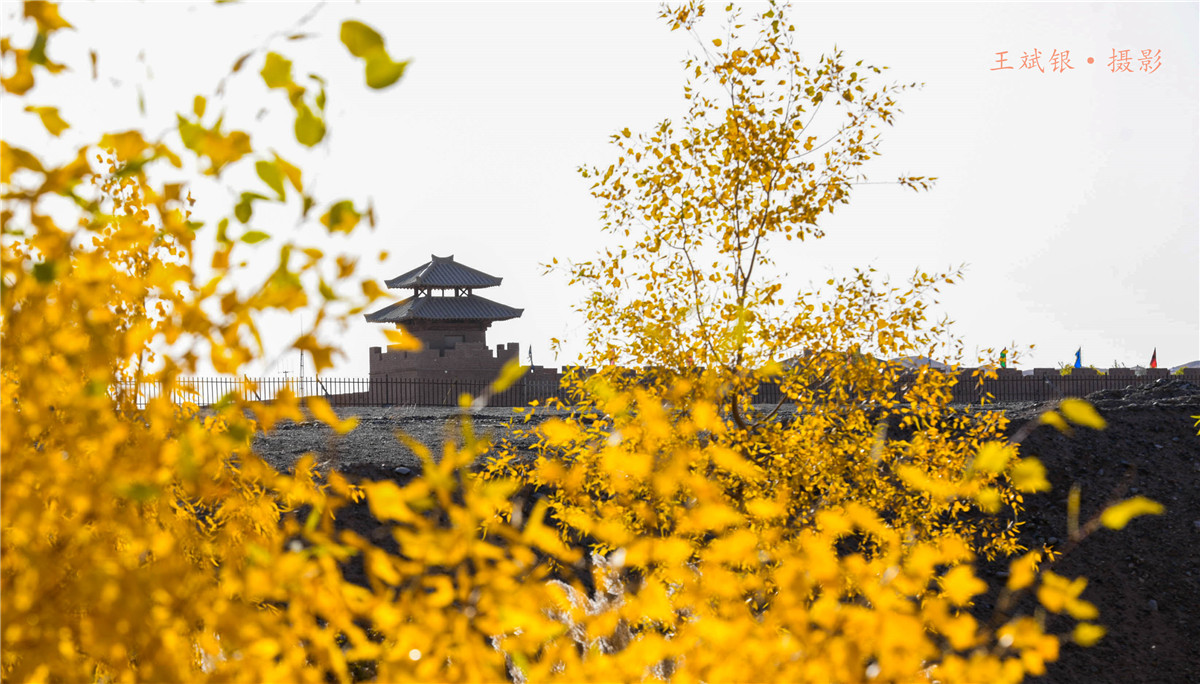 ��һ����˵�����������ȥ���ؾ����������鵽��