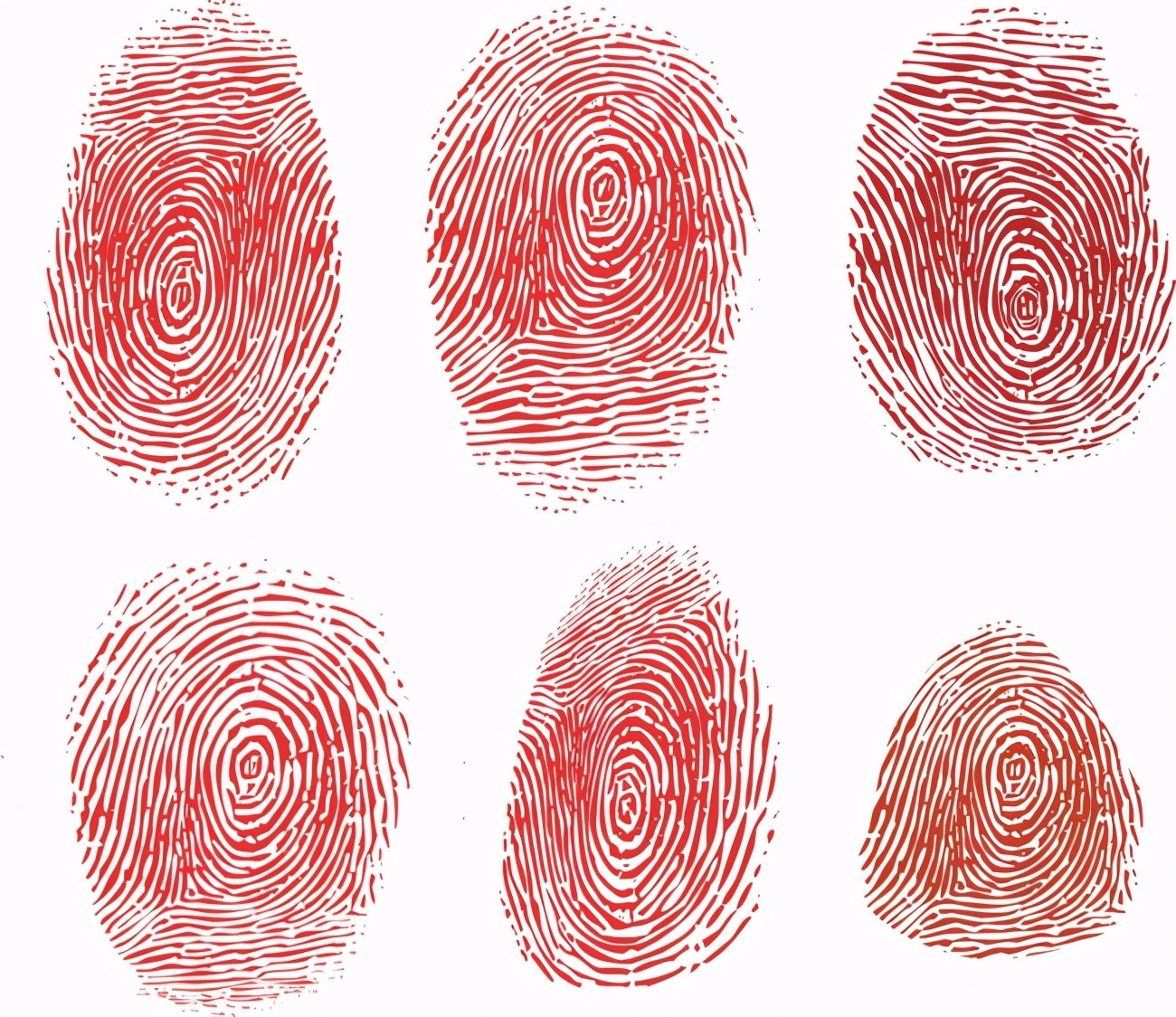 指紋有什麽作用？天生沒有或故意抹去指紋，真的能逍遙法外嗎？