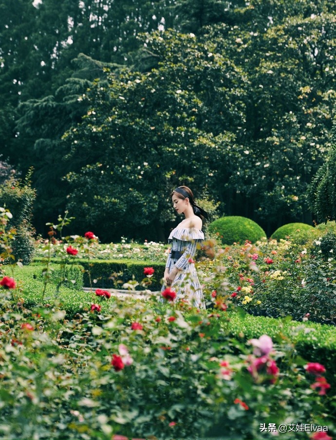 刘诗诗不靠儿子靠颈上热门，穿露肩裙秀天鹅颈