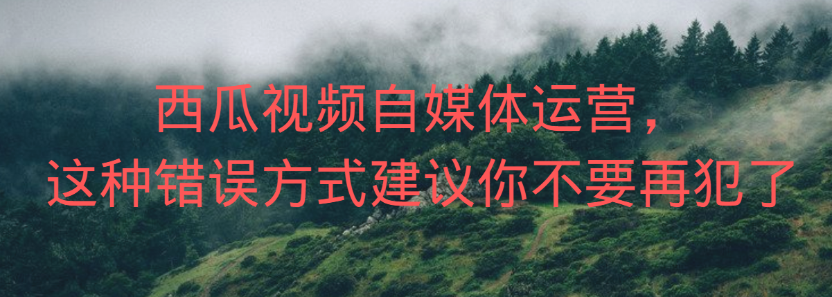 平台流量对比，大鱼号，西瓜视频，哪个会好一些？