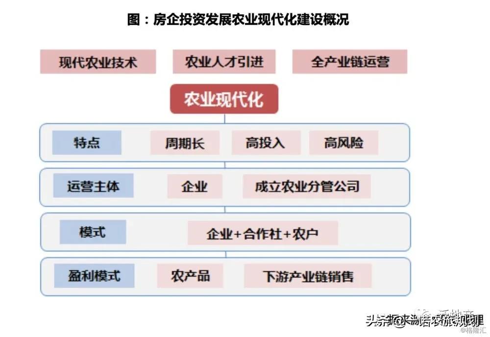 “鄉(xiāng)村振興+房地產(chǎn)”=規(guī)模房企新機遇？