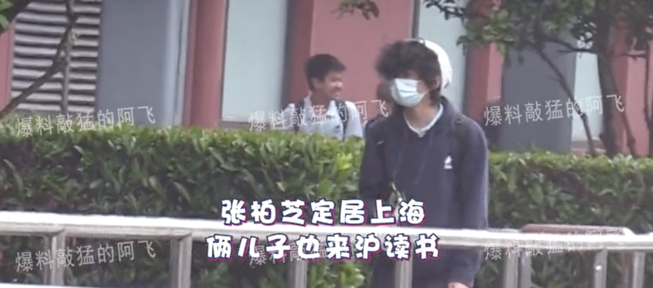 張柏芝兩個兒子轉學到上海，由保鏢接送放學，兄弟倆高冷帥氣