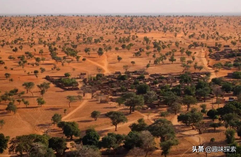 幾千年前，撒哈拉沙漠大部分地區都是綠色，生活著長頸鹿和鱷魚