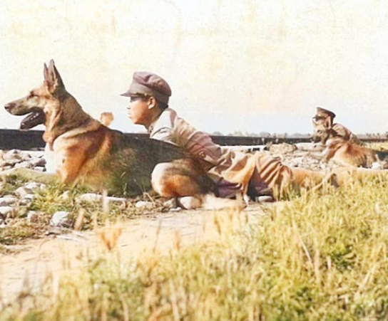 警卫员投靠日军血债累累，我军锄奸定妙计，杀