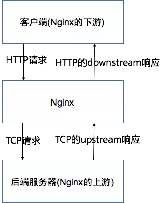 当初我要是这么学习Nginx就好了！（多图详解）