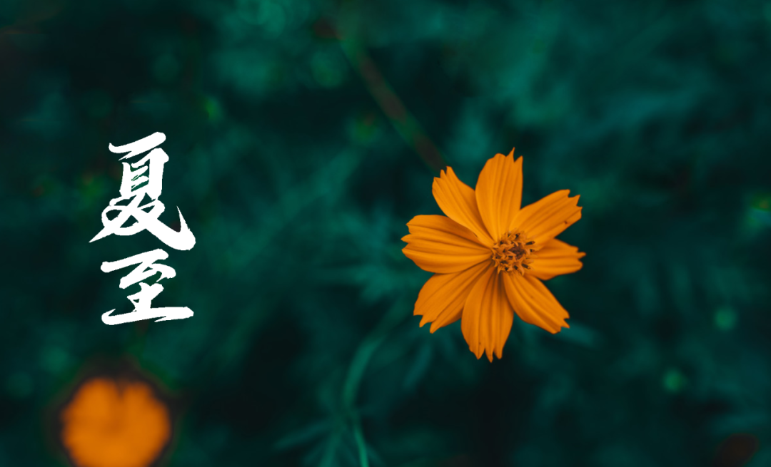 在古诗词里，寻找夏日的美好-第17张图片-非凡网