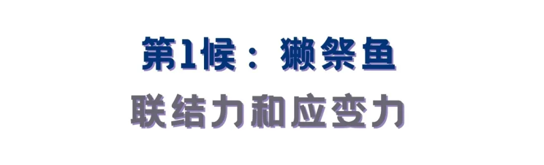 双鱼座的12种神力，12上升人人有份！中占帮你开发这黄金圣地