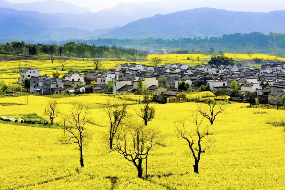10 places that are most suitable for a person to travel, one every year, OK?