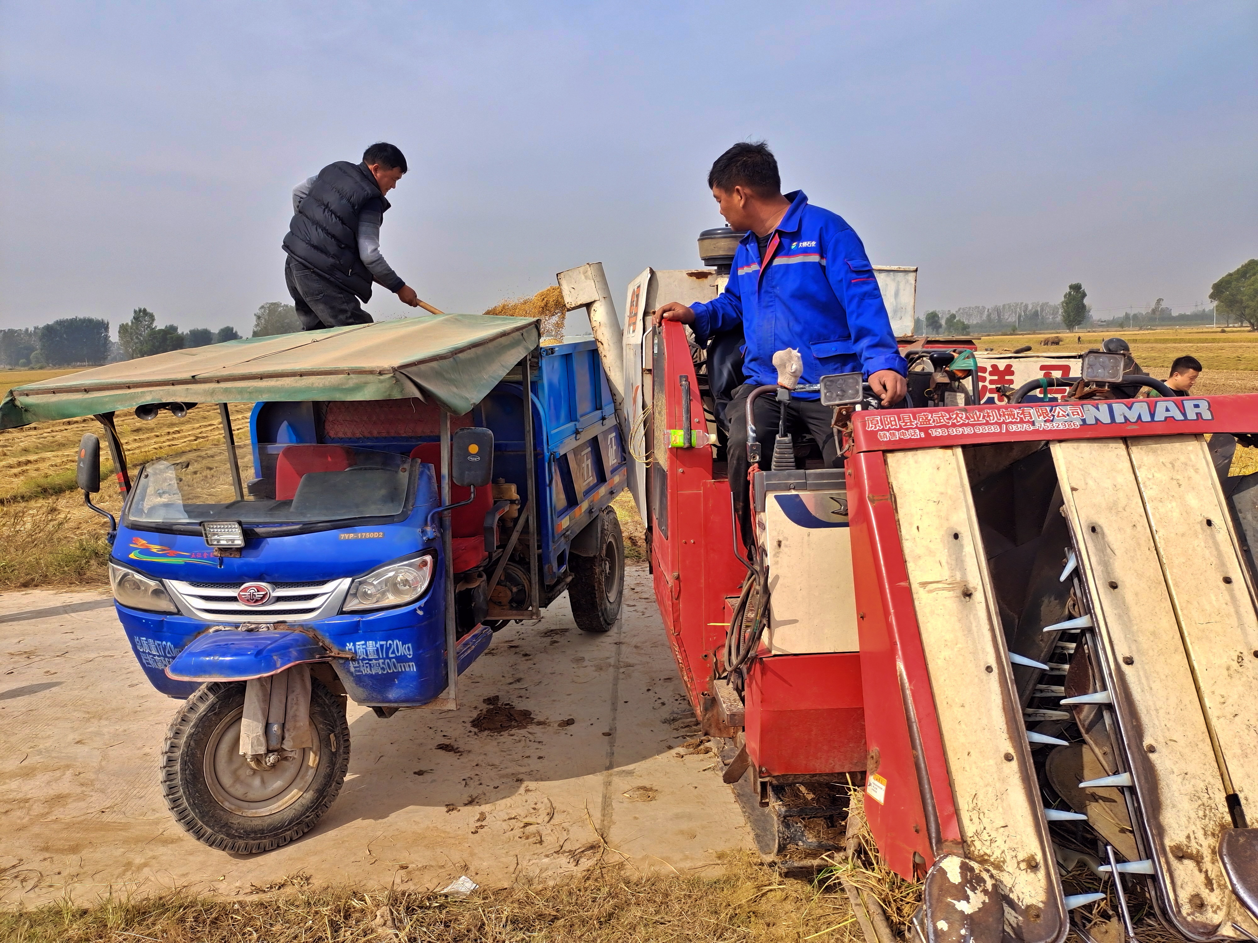 稻花飘香|【段双奇摄影作品】深秋时节看稻花飘香