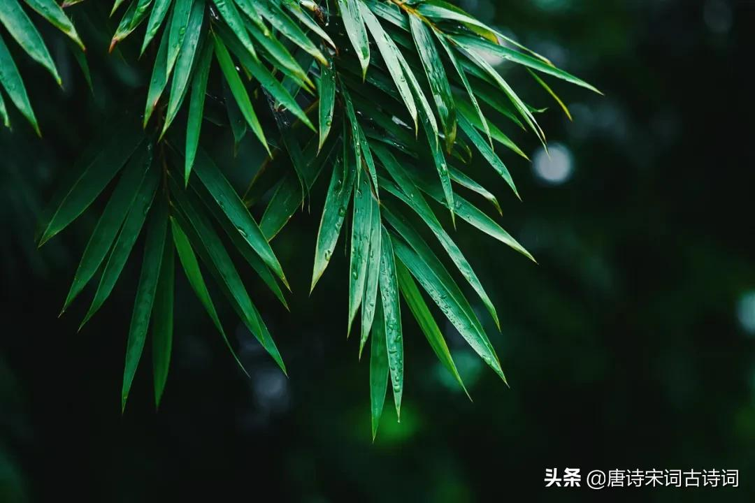 夏雨，少了些含蓄，多了几分莽撞-第4张图片-诗句网