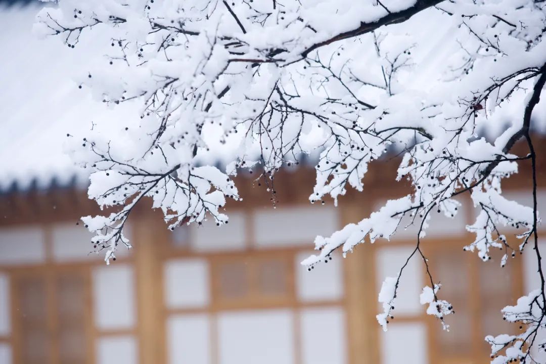 40位知名诗人，一人一句雪的诗词，治愈了整个冬天-第5张图片-非凡网