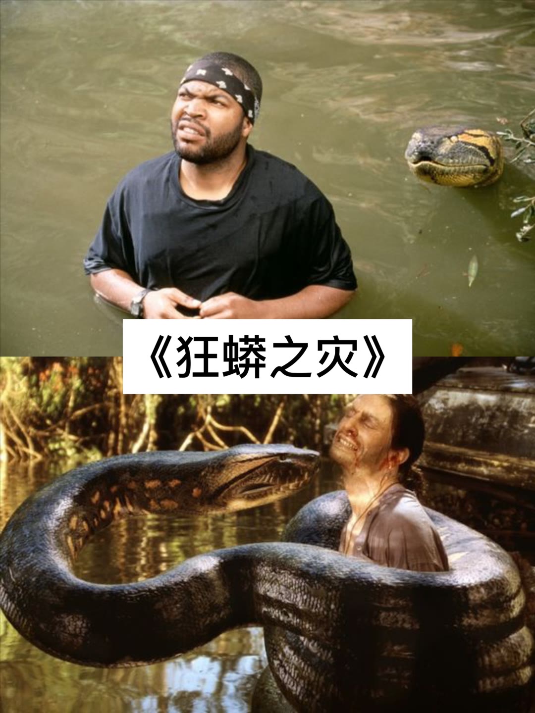 蛇鱼怪电影剧情「简介」 _晶羽科技