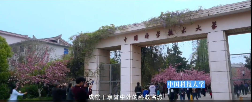 掏空家底，投啥赢啥？硬核风投之王：合肥