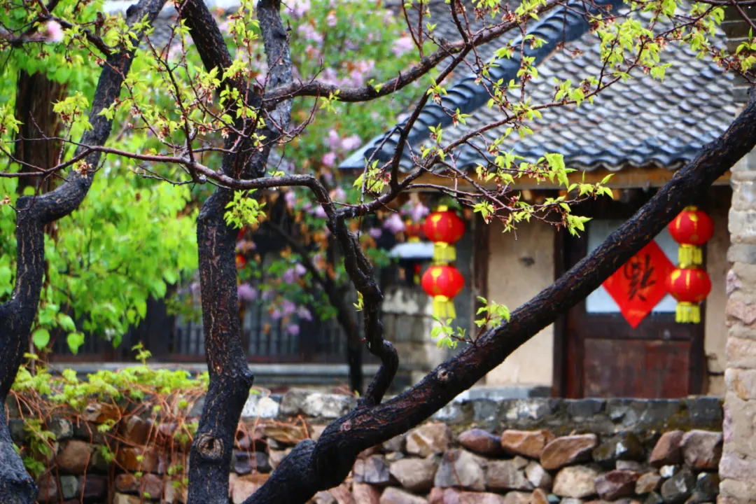 迁西：春色撩人醉心间，雨后与青山关的不期而遇