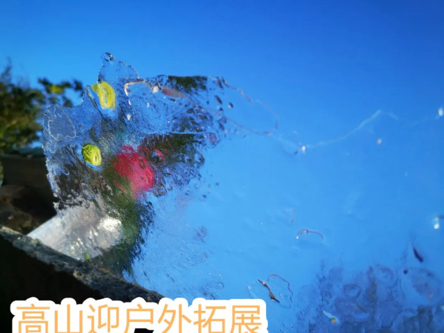 Ԫ������ȥ���棿��ͬ����Ӫ���һ���������ŵı���ѩ��