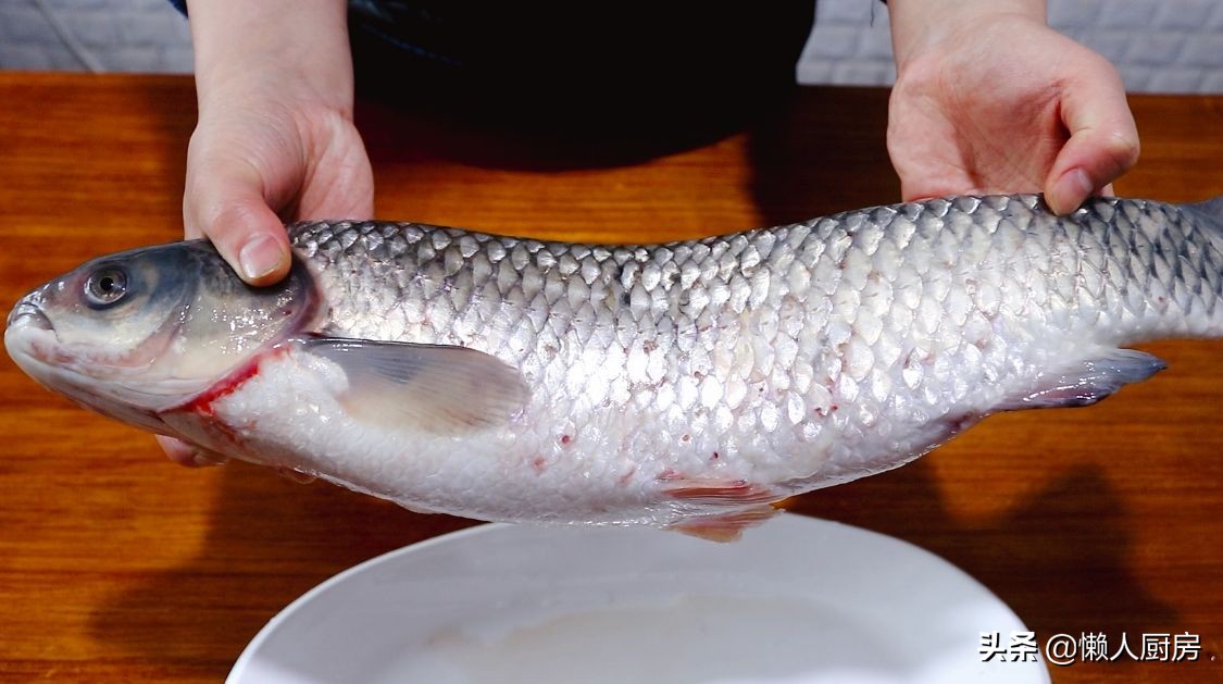 魚鱗別再扔掉了 它營養豐富 4斤重的草魚能刮下多少魚鱗 懶人廚房 Mdeditor