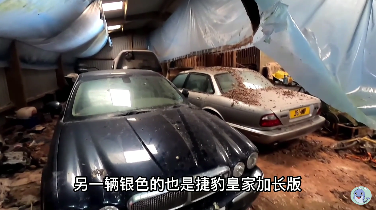 这是一栋被主人遗弃的房屋，价值180万的汽车都不要了