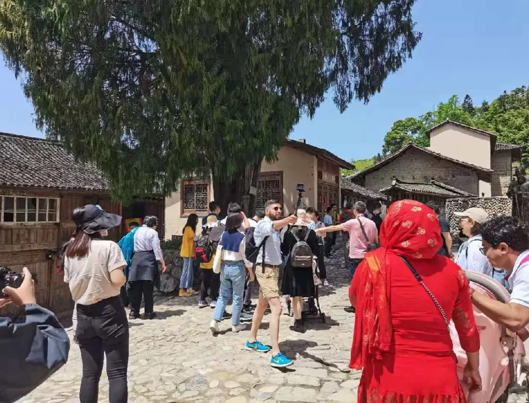 温肯组织近百名中外教师开启“寻温”之旅