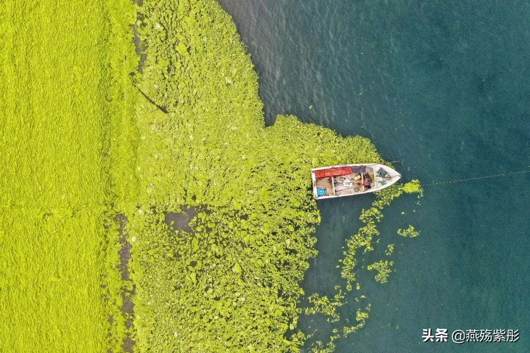 夏日特辑丨中国观海指南