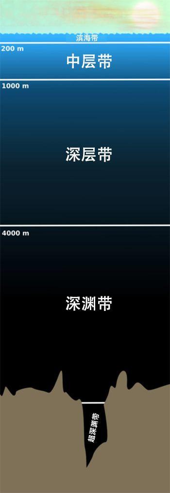 海洋有多深？海洋最深處隱藏著什么？