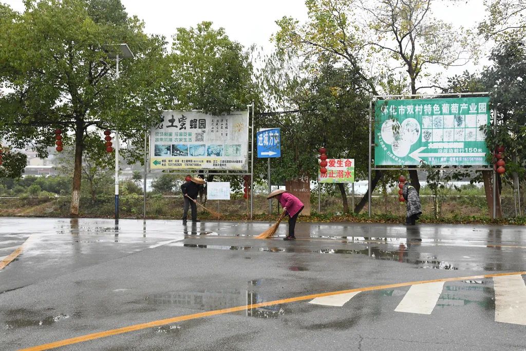 ​鹤城区双村村组织党员开展义务劳动建设文明家园