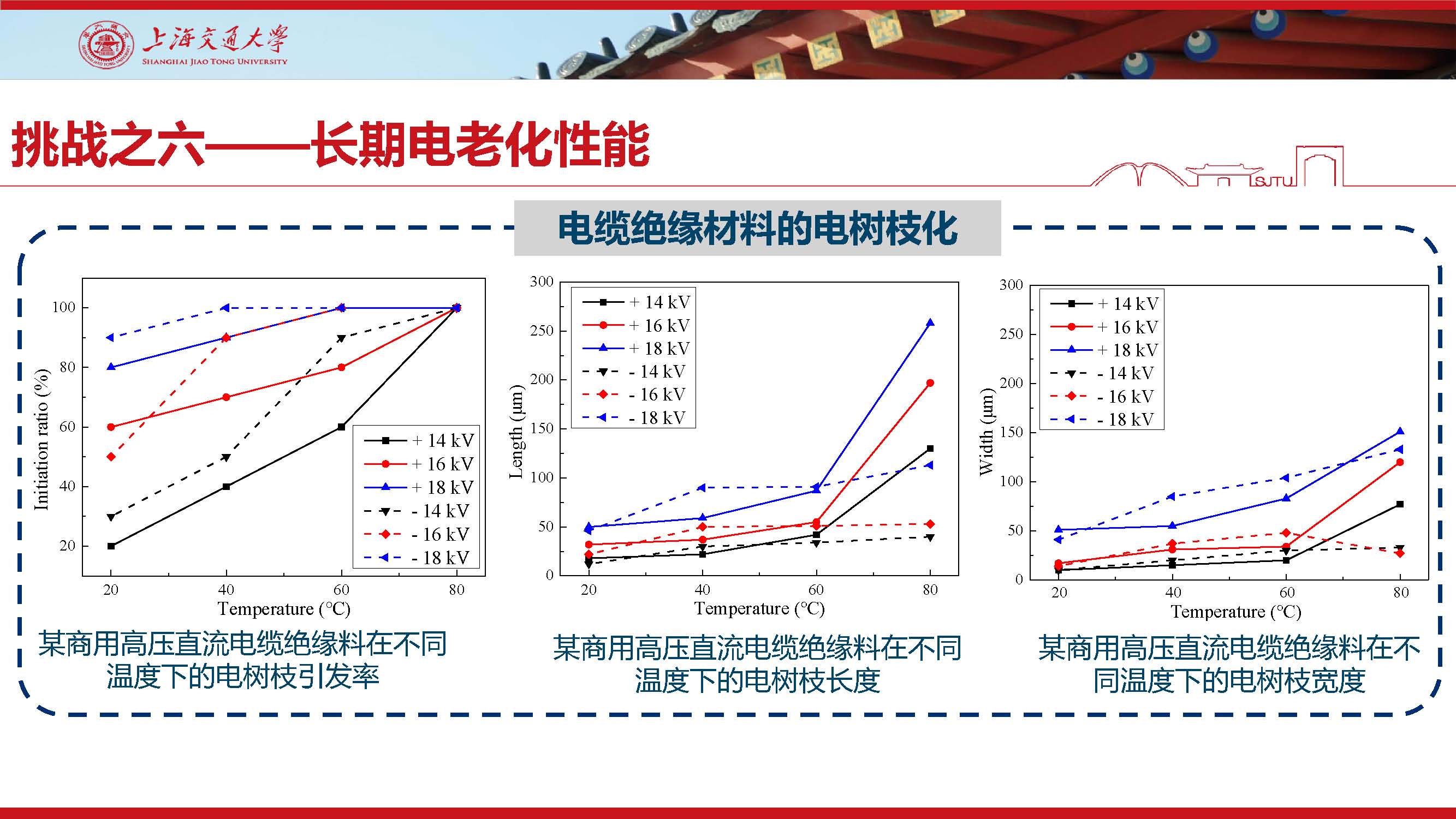 上海交大尹毅教授：挤包绝缘超高压直流电缆关键技术及应对策略