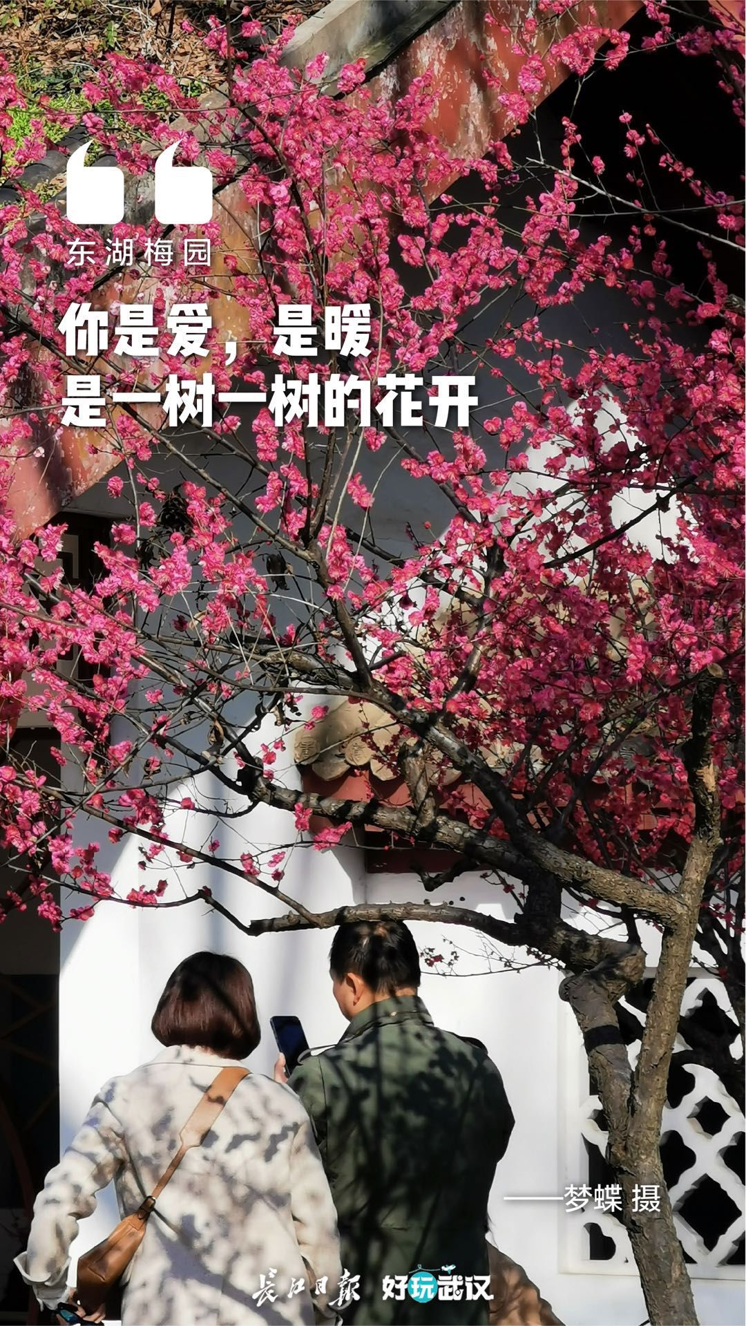回味！温暖春节的灿烂瞬间 