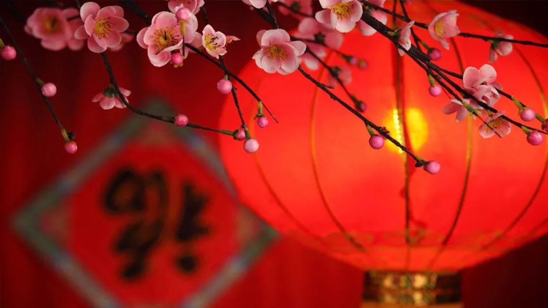 长河帆影 | 无奈春残花落去 惟将清酒寄愁心-第1张图片-非凡网