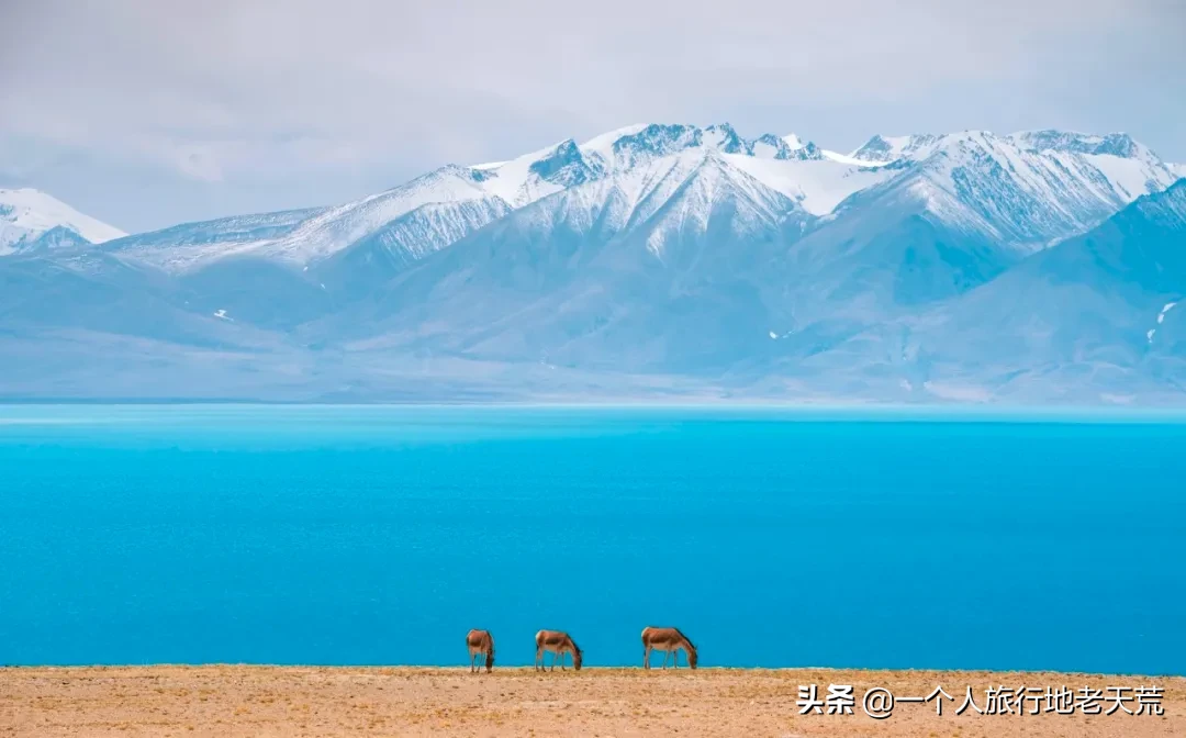 这些藏着初秋最美风光的绝美宝藏地，是你9月你绝不能错过的风景