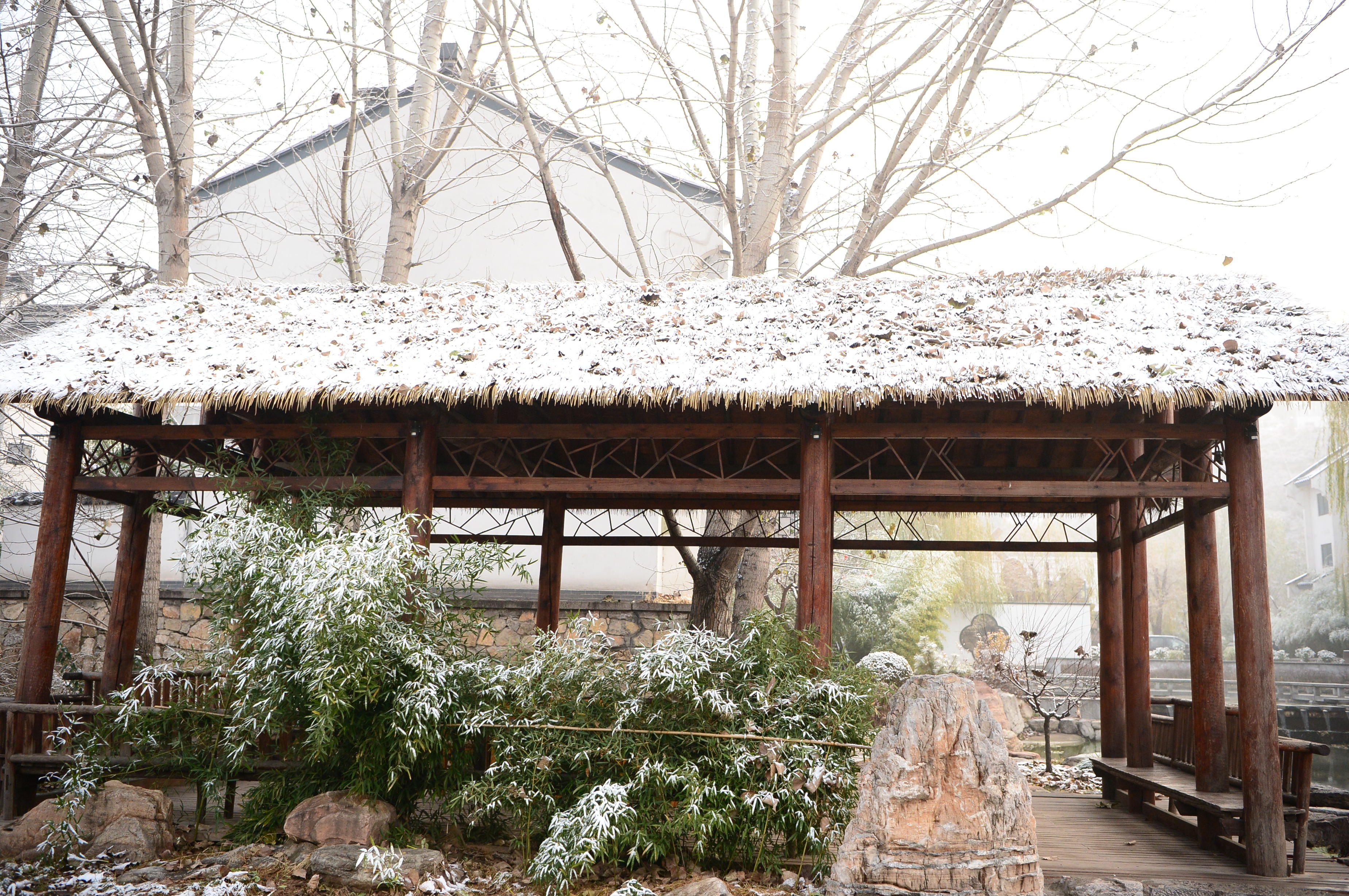 赤水湾：《雪》