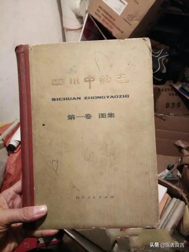 为母治病抓490只壁虎？河南两男子涉嫌犯罪被捕，壁虎不能乱抓