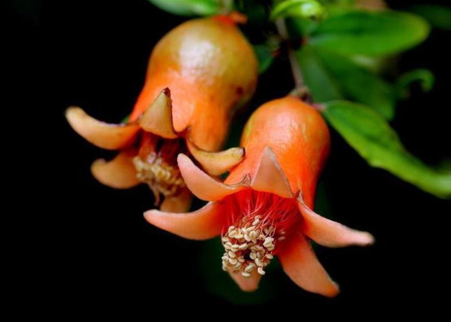 写给奔六的60后：人到老年，宁可孤独，也别轻谈感情，要警惕