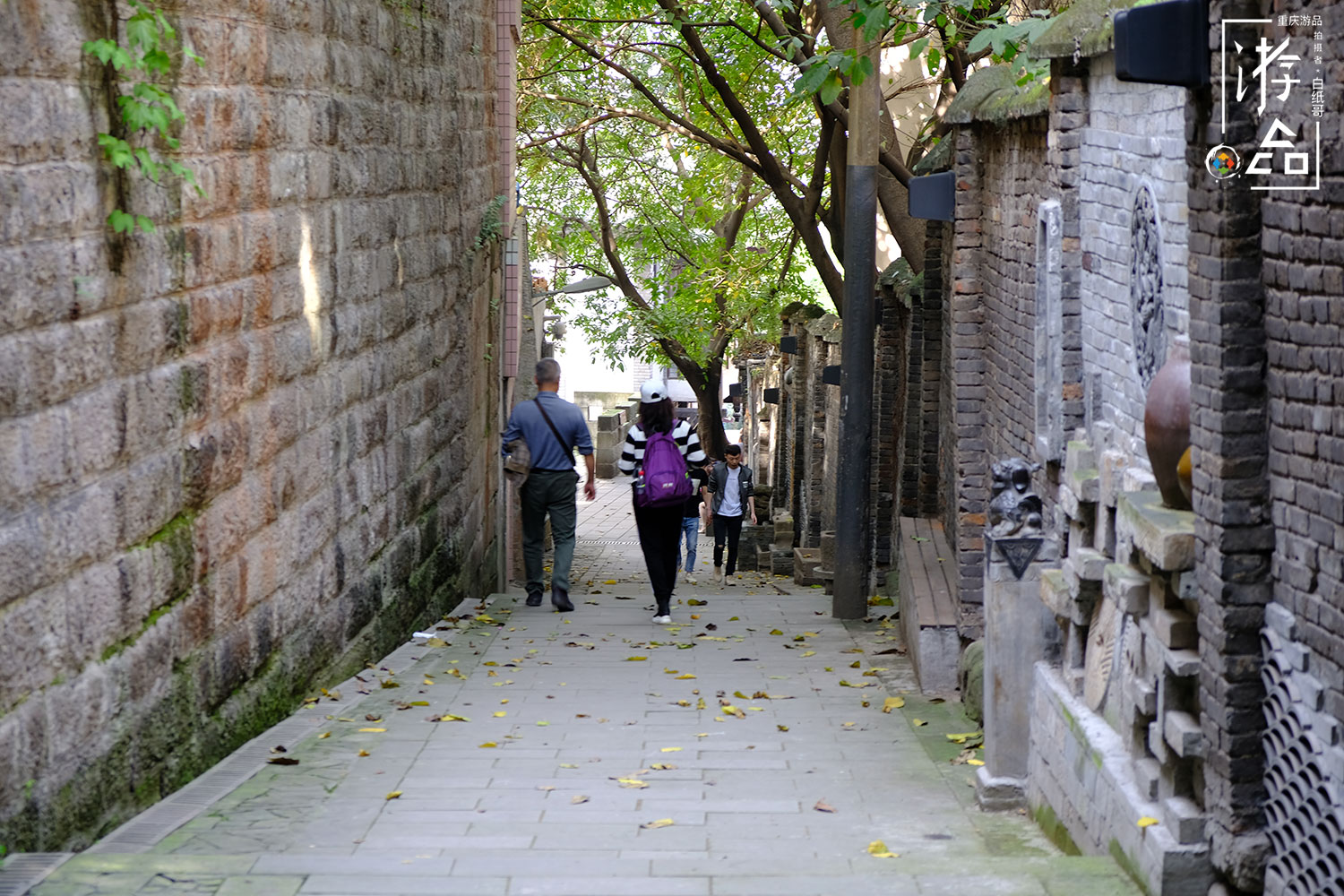 3种重庆民居建筑，不同阶层之间差异明显，但吊脚楼却贯穿始终