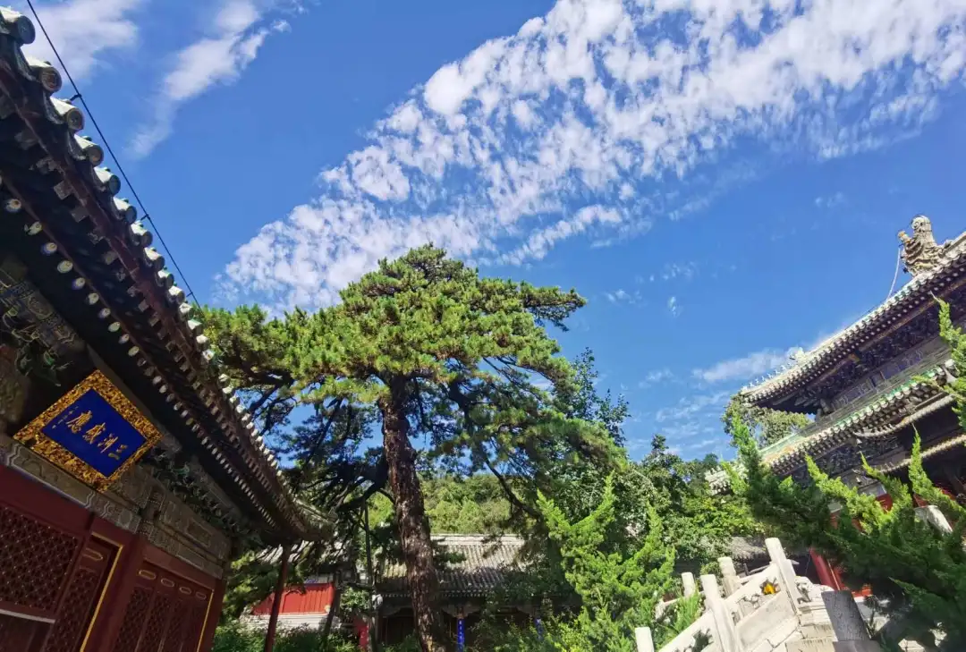 Find the quietness of ancient temples, and enjoy the beautiful scenery of early autumn at Tanzhe Temple and Jietai Temple!