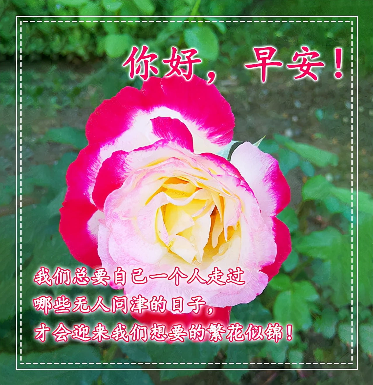 早上好漂亮表情问候祝福文案图片 早上好朋友圈表情图片精华图片
