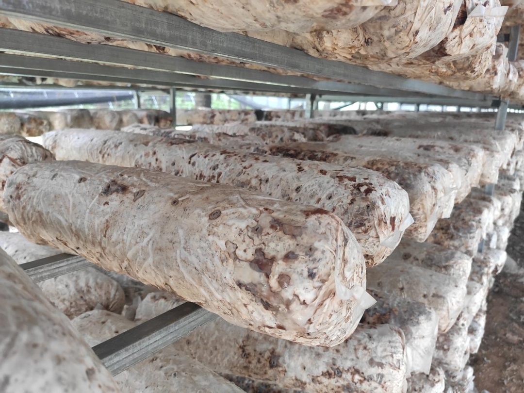 �׽����������Ļ����ν����湥�ԡ��ʺ�����