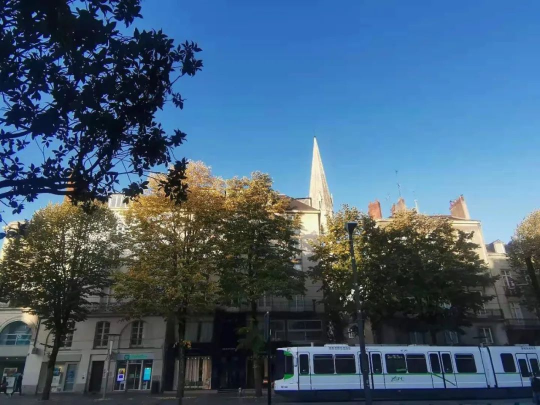 学姐说｜“空闲时间也都是很忙碌的”，南特高商GE项目就读体验