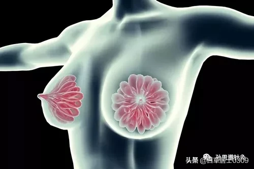 乳腺癌发作前的求救信号，早发现早预防！