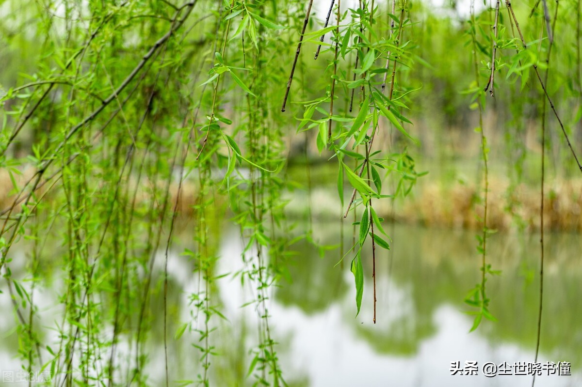 年仅13岁的鱼玄机，写下了一首经典的五律，连温庭筠都自叹不如-第4张图片-非凡网