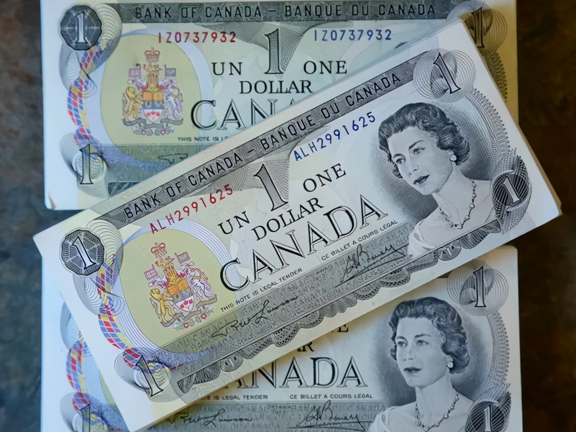 加拿大这些纸币作废了，家里有的别着急去换，有些纸币很值钱