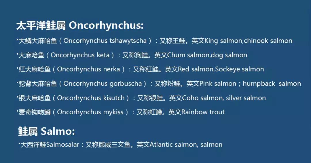 另一种解渎 三文鱼 名字的由来