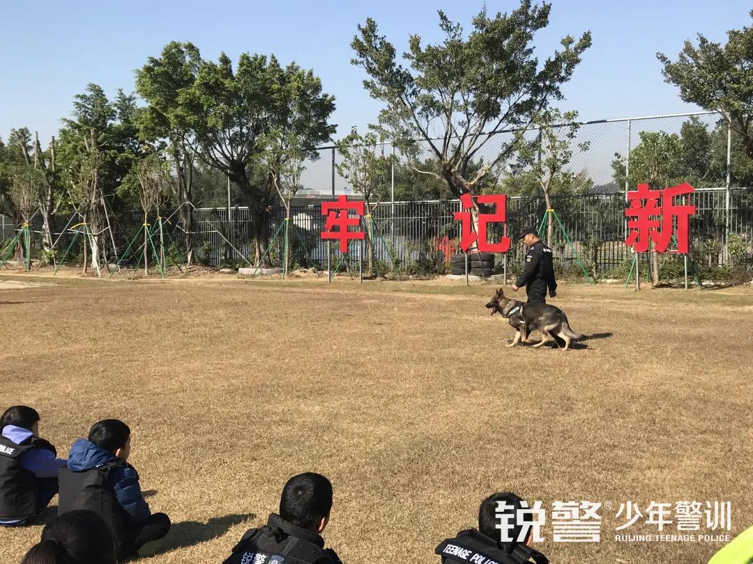 疯狂种草！人气爆棚的广州亲子游打卡地，收获快乐，提升技能